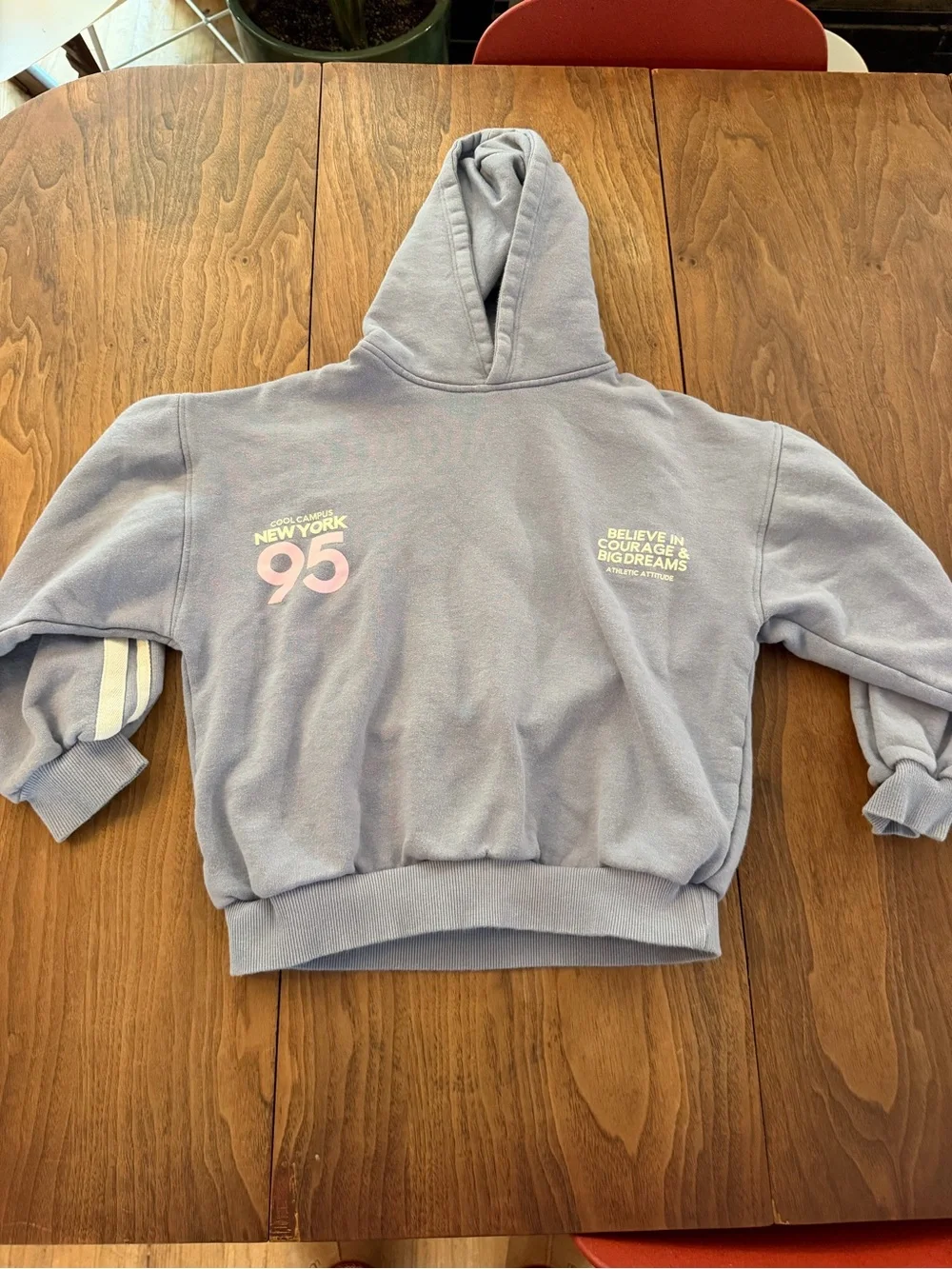 Zara | Shirts & Tops | Zara Lavender Pullover Hoodie With New York 95 ...